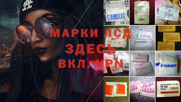 jwh Богородицк