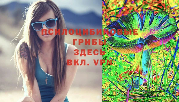 бошки Волгодонск