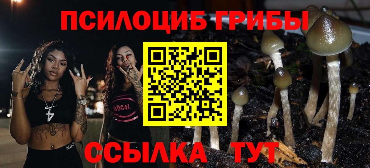 Галлюциногенные грибы мицелий Горно-Алтайск